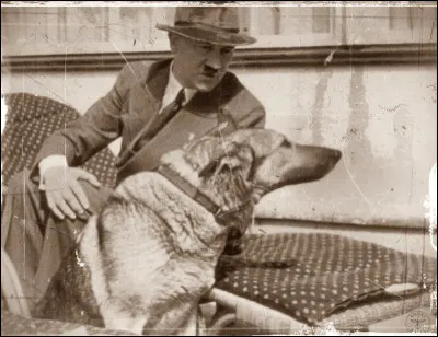 Comment la chienne d'Adolf Hitler s'appelait-elle ?