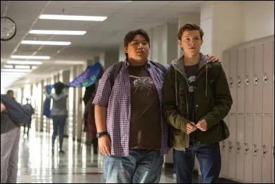 Dans quel film suit-on les tribulations d'un lycéen nommé Peter Parker qui, après avoir été mordu par une araignée radioactive, devient Spider-Man pour combattre le crime ?