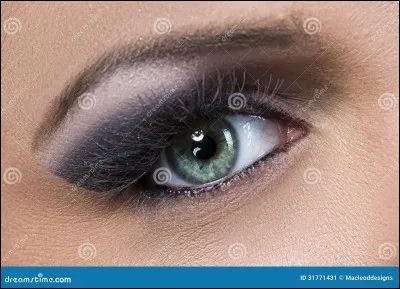 il Scintillant te rejoint et met bas, de combien de chatons ?