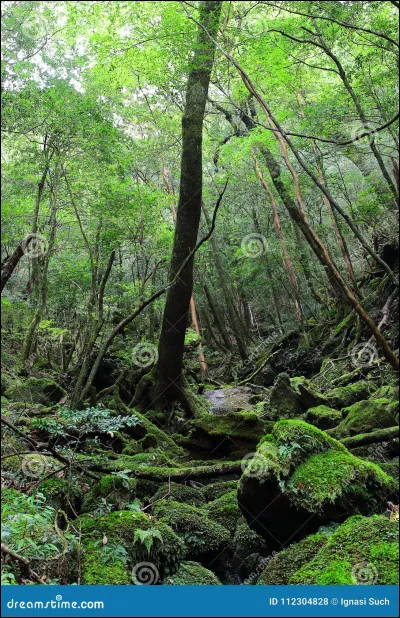 Finalement, tu as dit oui, et vous êtes allés voir la tanière...