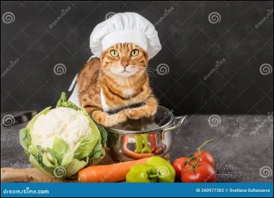 Ton chef vous surprend et vous gronde. Tu décides de dire la vérité, ton frère t'a entraîné dans la tanière et, initialement, tu avais dis non, mais tu ne voulais pas que Petit Hibou te traite de souris mouillée. Ton chef comprend et décide de ne rien faire, mais ton frère n'avait aucune raison de vouloir venir ici sans autorisation. Il retarde son baptême d'apprenti. Comment réagis-tu ?