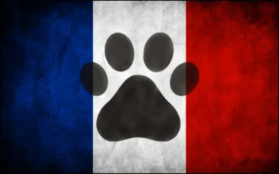 Parfois, te surprends-tu sur des forums en lien de près ou de loin avec le furry ?