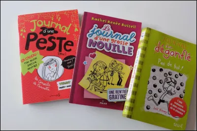 Comment s'appelle l'auteur de cette collection de romans ?