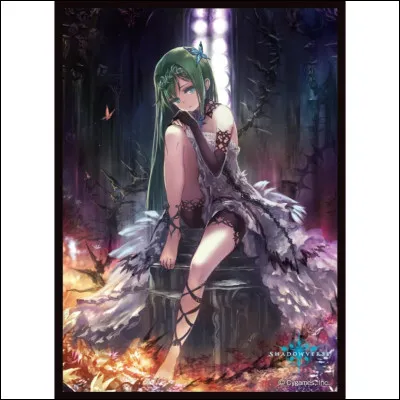 Choisis ce qui t'attire le plus.