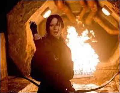 Je suis un(e) président(e) tué(e) à cause de Katniss. Qui suis-je ?