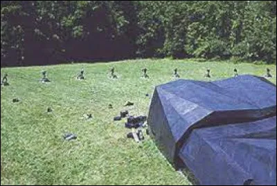 Je me fait tuer par Katniss lors du lancement des jeux. Qui suis-je ?