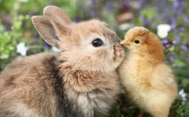 Quiz Test de personnalit�