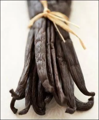 La vanille fait partie de la famille des :