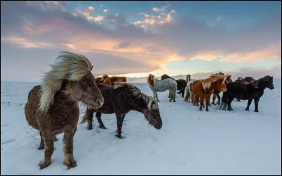 La neige rechute et le vent siffle aux oreilles. Que se forme-t-il sous l'effet des bourrasques empêchant encore une fois la circulation ?