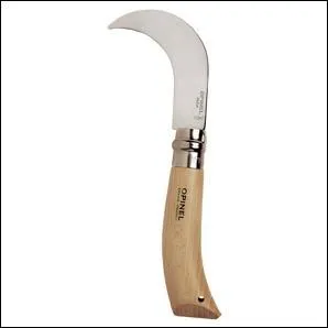 Comment s'appelle cet outil ?