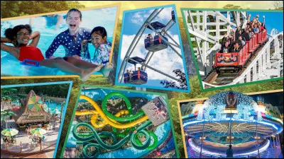 Quelle est ta passion entre les suivantes ?