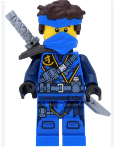 Quel ninja est né dans une décharge ?