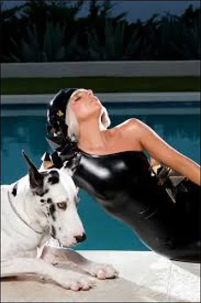 Quelle est cette chanson ?