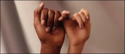 Qu'est-ce qui est le plus important pour toi parmi ces choix ?