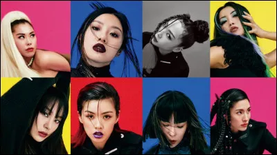 Quel membre avait regardé la saison 1 de Street Woman Fighter ?