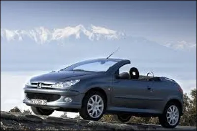 De quel modèle s'agit-il ?