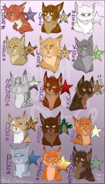 Quel grade voudrais-tu avoir ?