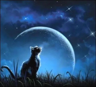 Comment voudrais-tu t'appeler ?