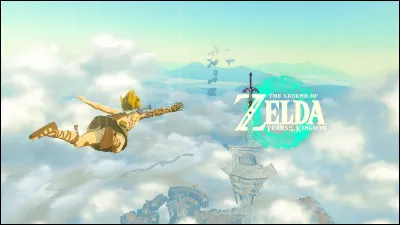 Quel est ce jeu vidéo ?