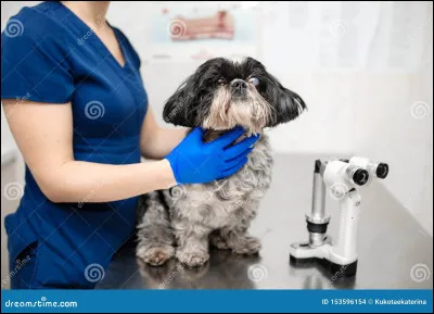 Quel est ce métier ?