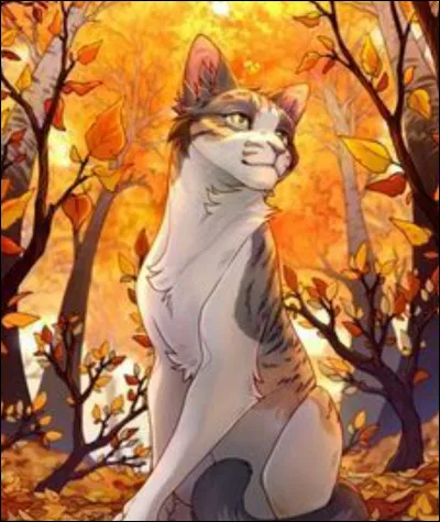 Finalement, vous jouez à cache-cache. Petite Neige doit compter. Petit Ouragan vient te voir et te dit : 
- Viens, on va se cacher dans les bois !
Tu...