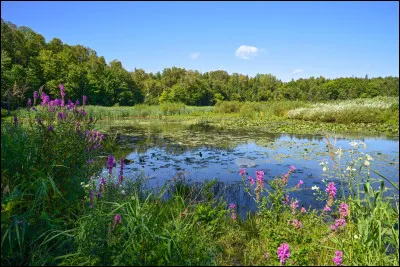 Quel est ton lieu naturel préféré ?