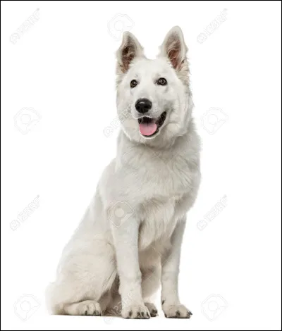 Qui était le lieutenant juste avant lui ?