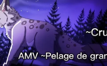 Quiz Littérature, poésie