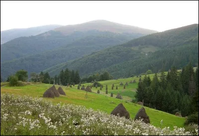 Quel pays a été le cheval de Troie de l'Europe ?