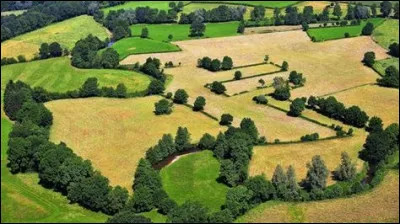 Le gouvernement promet de réduire la réglementation des haies entre les parcelles. Combien y a-t-il en France de réglementations en cours ?