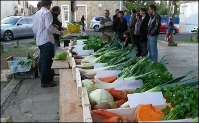 Quelle est la bonne nouvelle selon la directrice de recherche à l'Inrae après chaque mobilisation paysanne ?