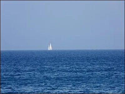 Si vous êtes cyanopode, c'est que avez...