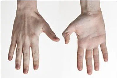 Qu'est-ce que la titillomanie ?