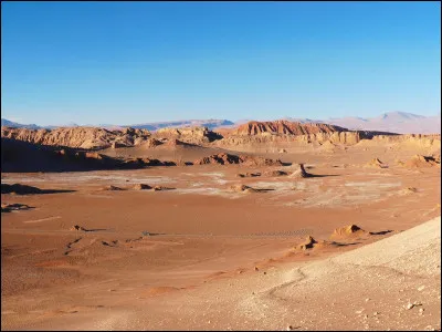 Lequel de ces animaux peut tenir des années sans boire ?