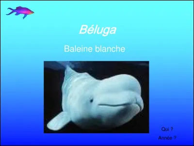 Même question, quel animal est en voie de disparition dans cette liste ?