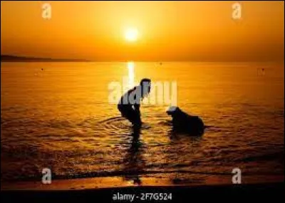 Aimes-tu te baigner ?