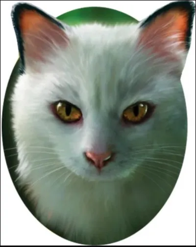 Quels sont les noms de guerriers d'Etoile de Jais et d'Etoile du Tigre ?