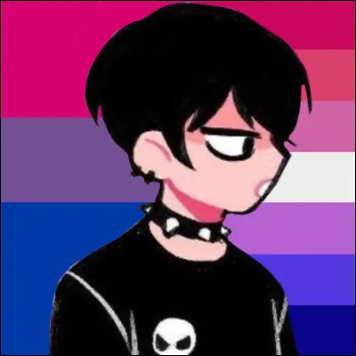 Aux couleurs de quel drapeau est-il habillé ? (La photo est un gros indice )