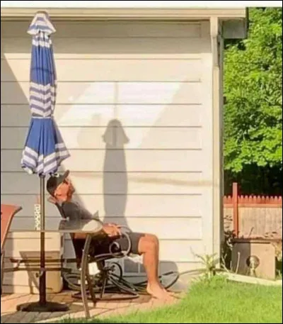 Que voyez-vous en premier sur cette image ?