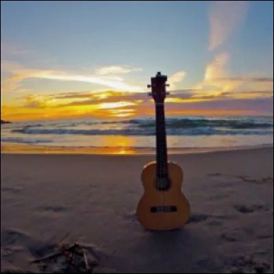 Dans les années 60, qui faisait partie du groupe de rock "Les Chats sauvages" ?