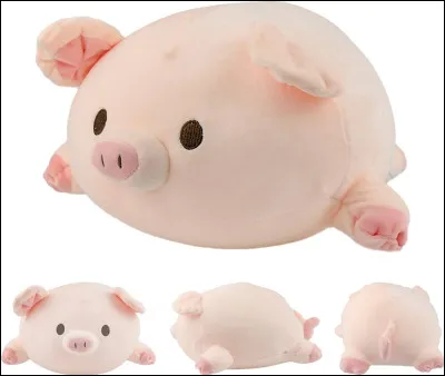 Pour terminer, as-tu quelques peluches ou coussins doux ? 

Petite parenthèse de fin : tout ça, ce ne sont que des standards, alors n'hésite pas à avoir une chambre originale et belle en même temps ! Pinterest est un excellent moyen de trouver des idées, je conseille ! À bientôt !