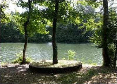 Quelle île de la Seine a été très souvent peinte par Auguste Renoir et Claude Monet ?