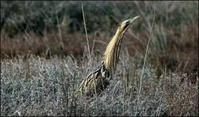 Comment serez-vous accueilli ?