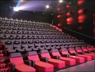 Quel est le genre de ce film ? (Choisis celui qui te correspond le plus).