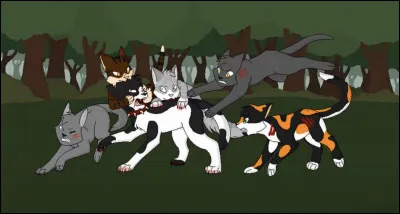 Les couleurs seraient :