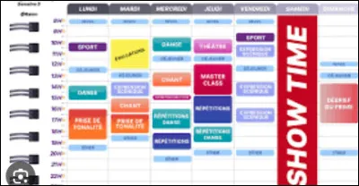 Quel est le cours que tu aurais aimé le plus faire à la ''Star Academy'' ?