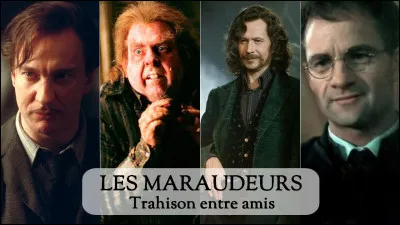 Dans quelle maison était les Maraudeurs pendant leur jeunesse ?
[Lunard,Queudver,Patmol et Cornedrue]