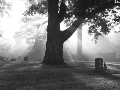 Tu veux que ton film d'Halloween contienne...