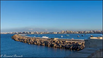 Qui chantait "Alexandrie Alexandra" ?