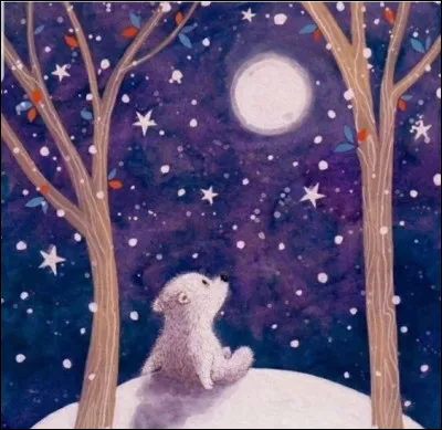 À quelle constellation appartient l'étoile polaire ?